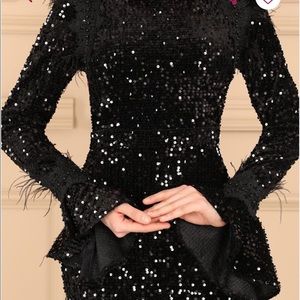 Beautiful Sequence evening prom long sleeve dress